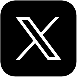 Twitter/X Downloader